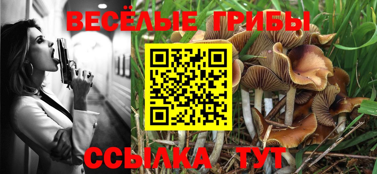 Обнинск  Галлюциногенные грибы мухоморы  Вход с VPN  Галлюциногенные грибы Cubensis 